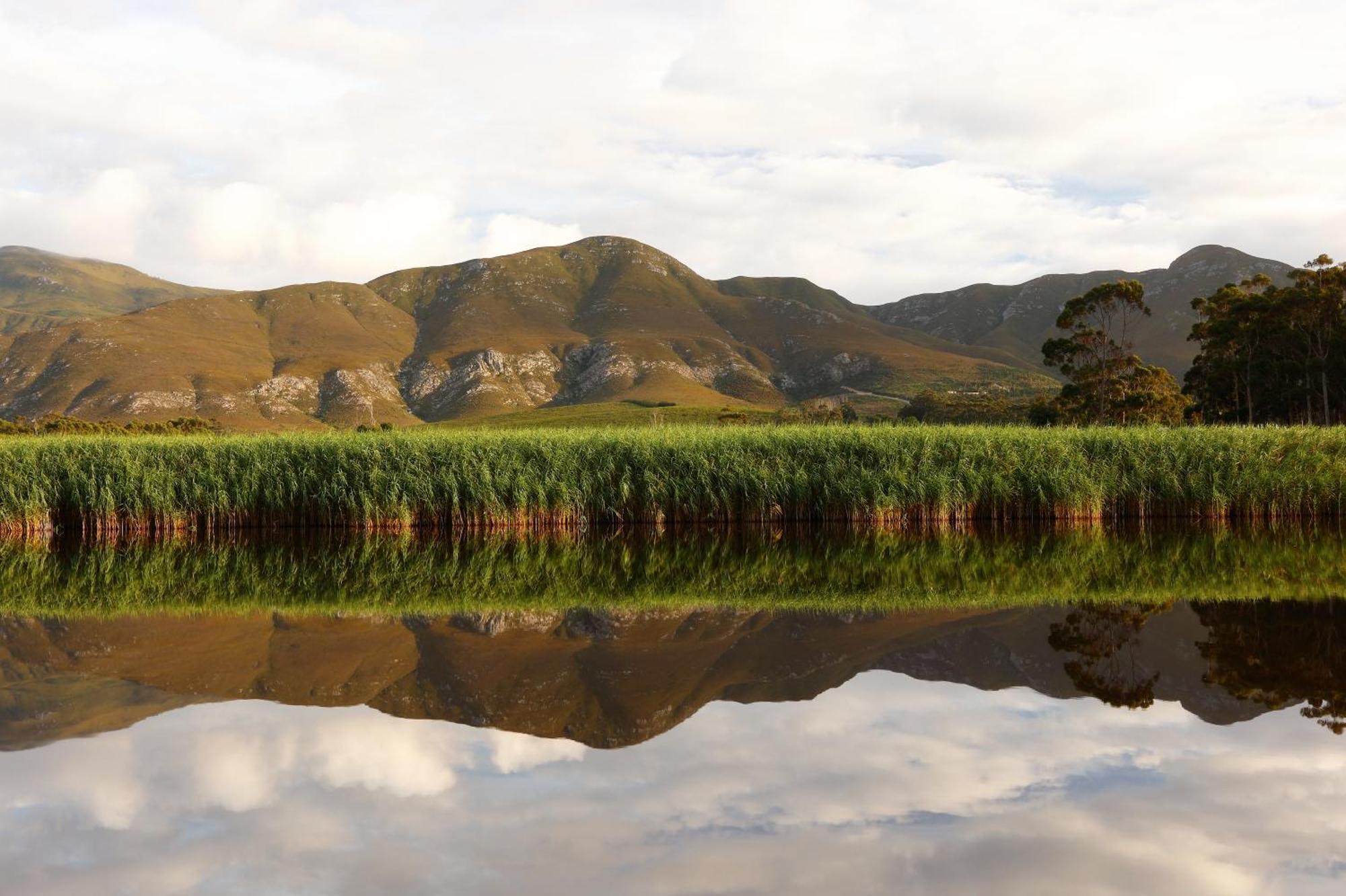 Springfontein River Lodge Станфорд Екстериор снимка